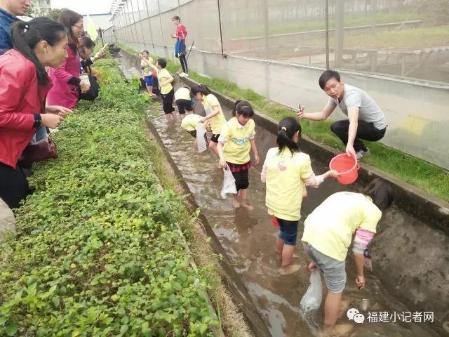 【围观】福建小记者走进农场体验农耕乐趣