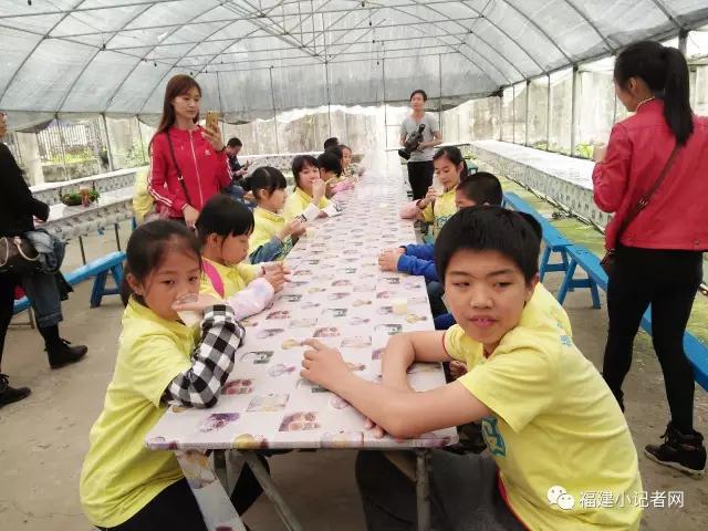 【围观】福建小记者走进农场体验农耕乐趣