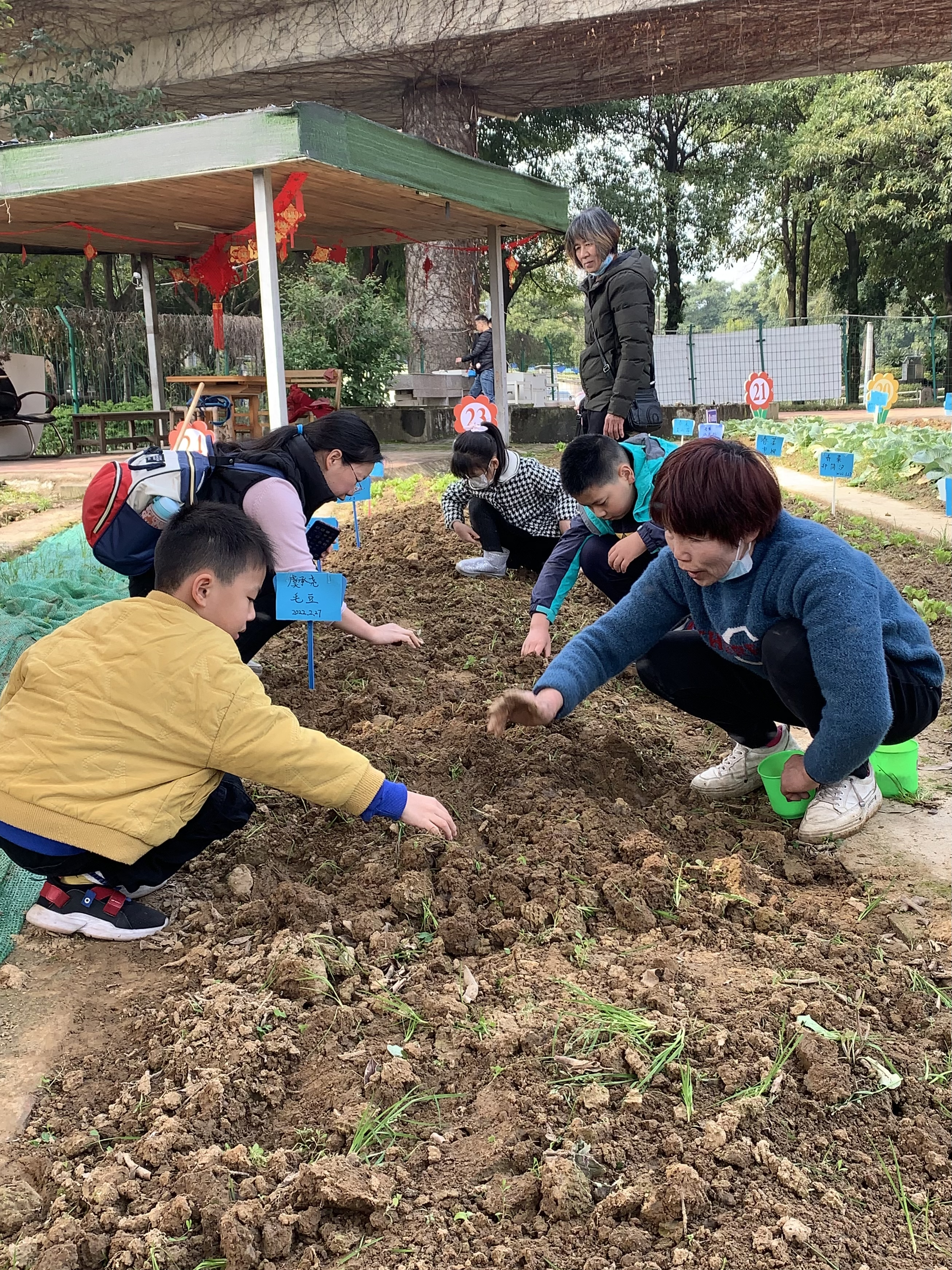 “体验种植 收获快乐” 科普农场种植体验活动活动简报