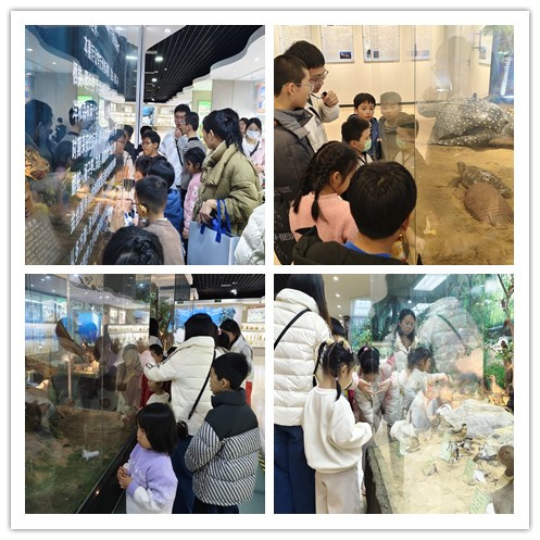 邂逅百年学府，点燃科学梦想 ——“闽都科普研学行”福建师范大学站圆满落幕