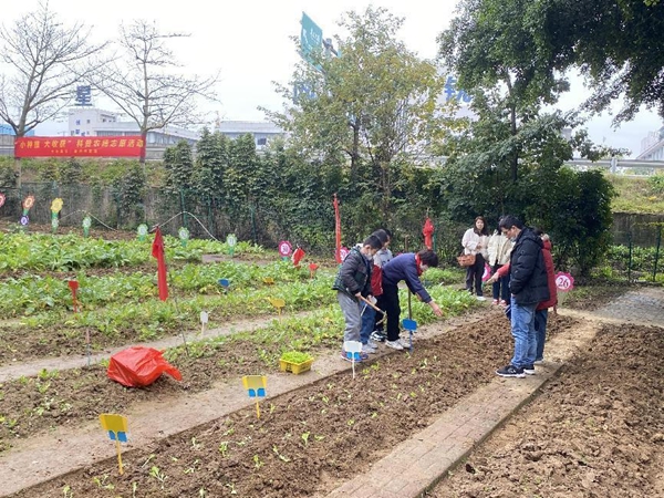 “小种植 大收获”志愿科普农场种植体验活动简报