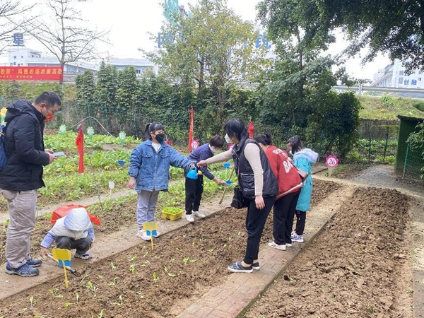 “小种植 大收获”志愿科普农场种植体验活动简报