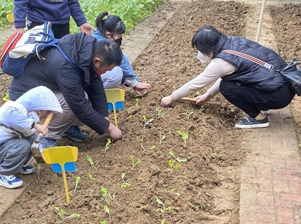 “小种植 大收获”志愿科普农场种植体验活动简报