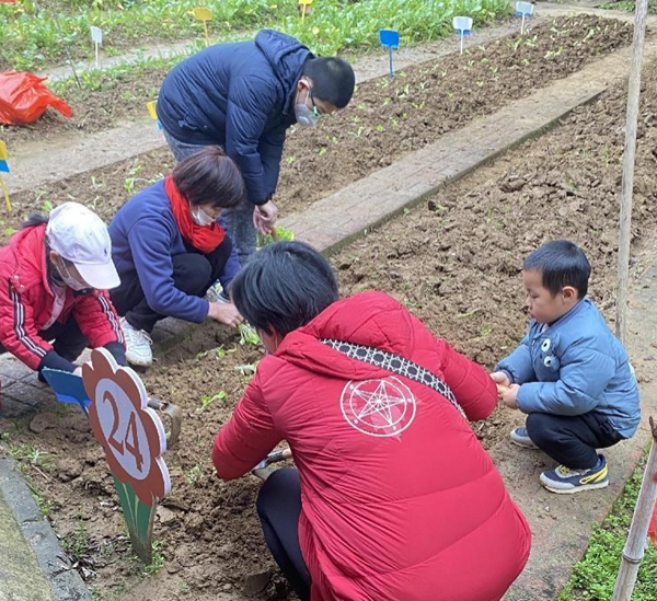 “小种植 大收获”志愿科普农场种植体验活动简报