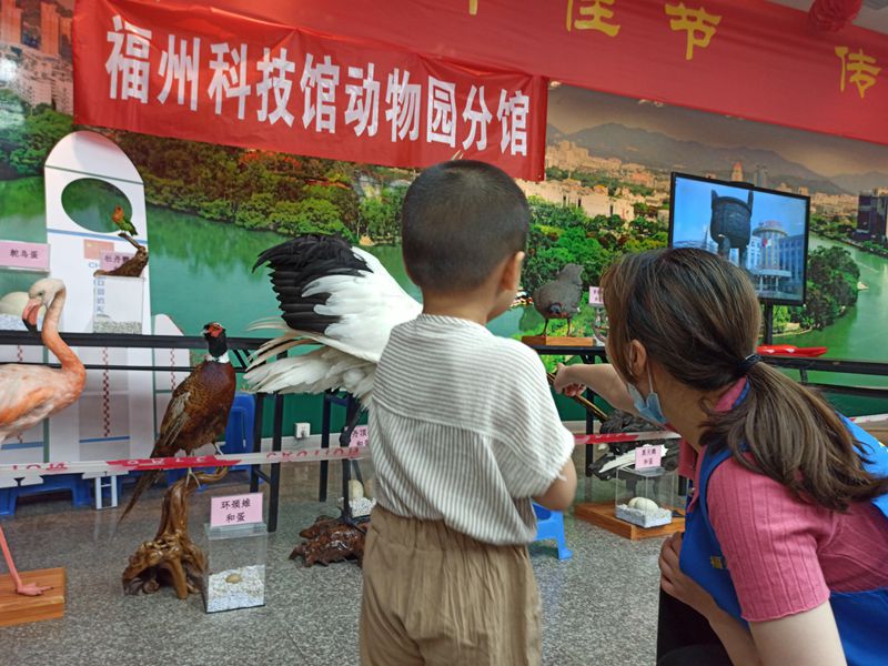 福州动物园参加端午节科普活动