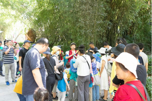 福州植物园举办“童眼观生态”之“竹”够有趣科普课堂活动