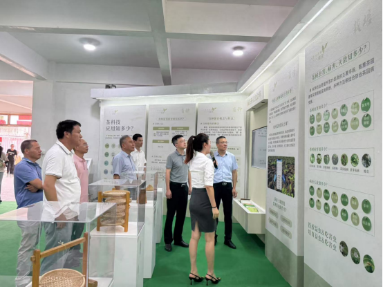 “茶香智韵,科技赋能”——福州科技馆“茶科技”科普主题巡展活动简报 “茶香智韵,科技赋能”——福州科技馆“茶科技”科普主题巡展活动简报