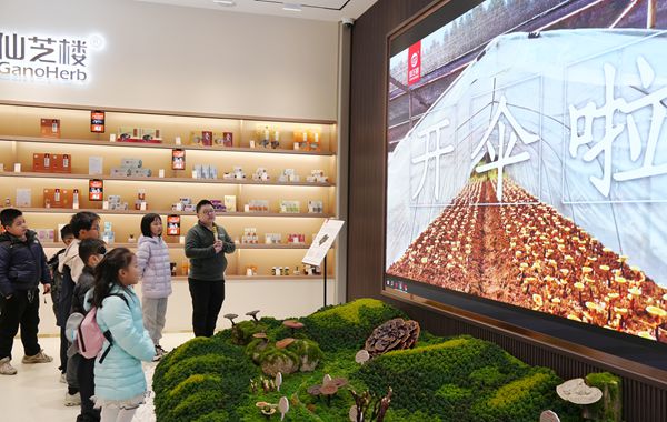 灵芝闽都研学行：探秘「仙草」背后的科学密码