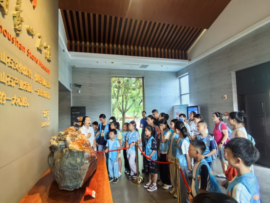 寻山问石,共赴“仲夏石语”——寿山石 科普研学活动在榕举行 寻山问石,共赴“仲夏石语”——寿山石 科普研学活动在榕举行
