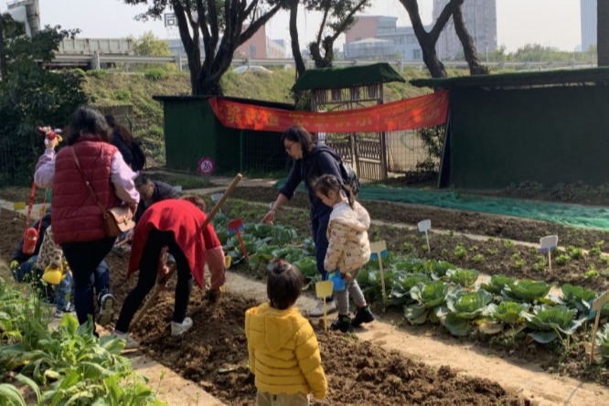 “体验种植 收获快乐” 科普农场种植体验活动活动简报