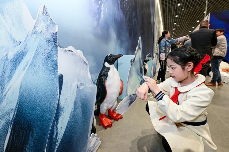 “身临极境—南极起航”特展启幕 来福州科技馆赏南极风光