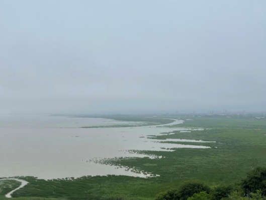 闽江河口湿地保护20年系列活动之“守护湿地，你我同行”