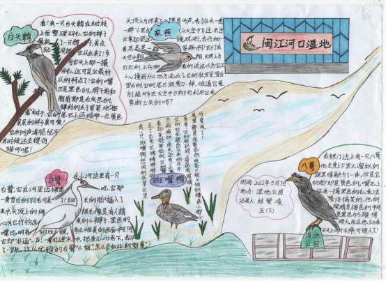 2022年全国湿地自然笔记接力赛闽江河口湿地观鸟实践活动