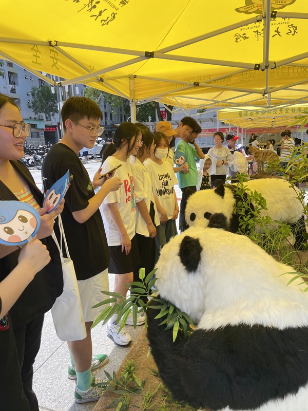 大熊猫带你一起做个减塑行动派 环保袋袋传